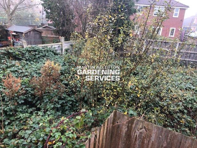Bramshall garden clearance - before