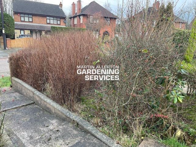 Newcastle-under-Lyme garden clearance - before