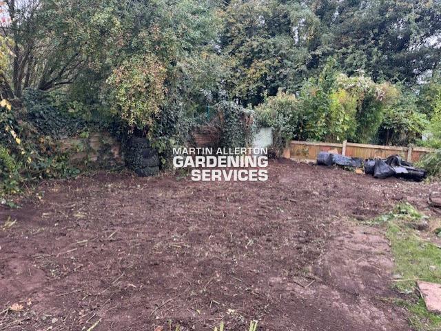 Trentham garden clearance - after