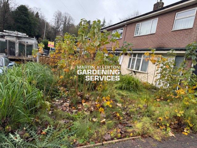 Newcastle-under-Lyme garden clearance - before