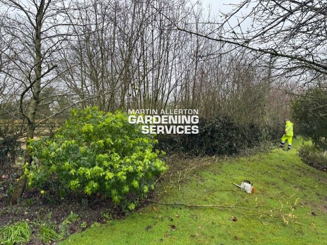 Stafford mixed hedge reduction - before