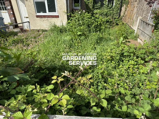 Stone overgrown garden cutback - before