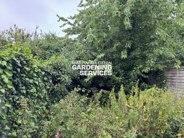 Stafford garden clearance - before